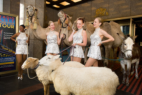 Rockettes with animals from nativity scene